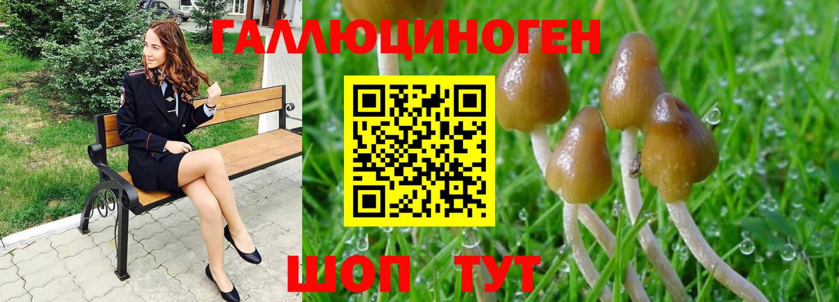 Галлюциногенные грибы Psilocybe  Псилоцибиновые грибы MAGIC MUSHROOMS  Вход с VPN  наркотики  Славгород 