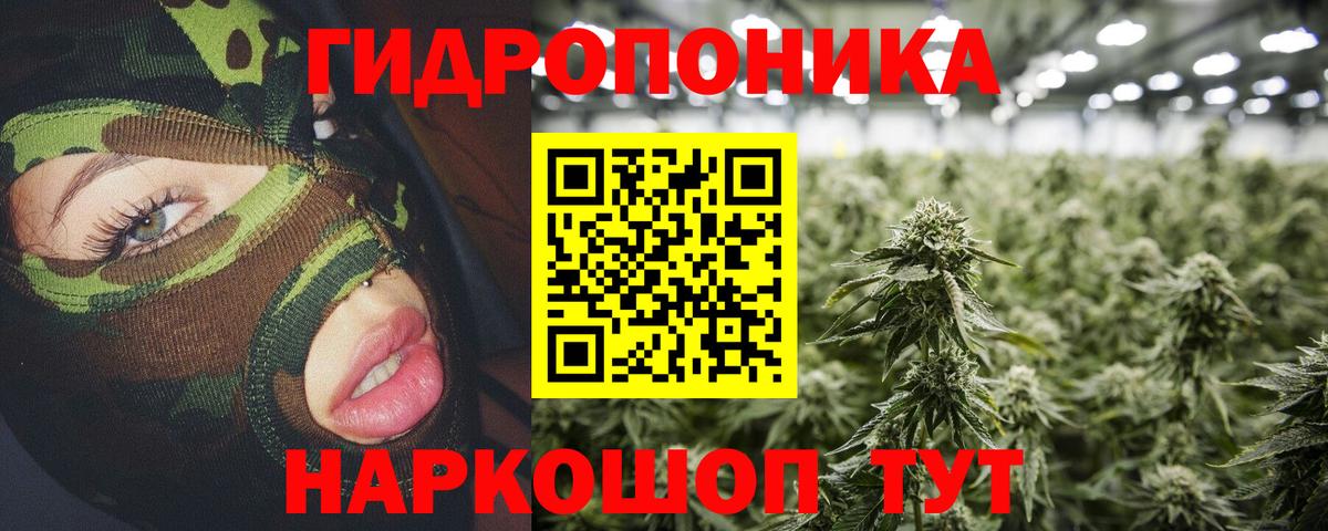 Конопля планчик  Вход с VPN  Бошки Шишки Amnesia  Славгород 